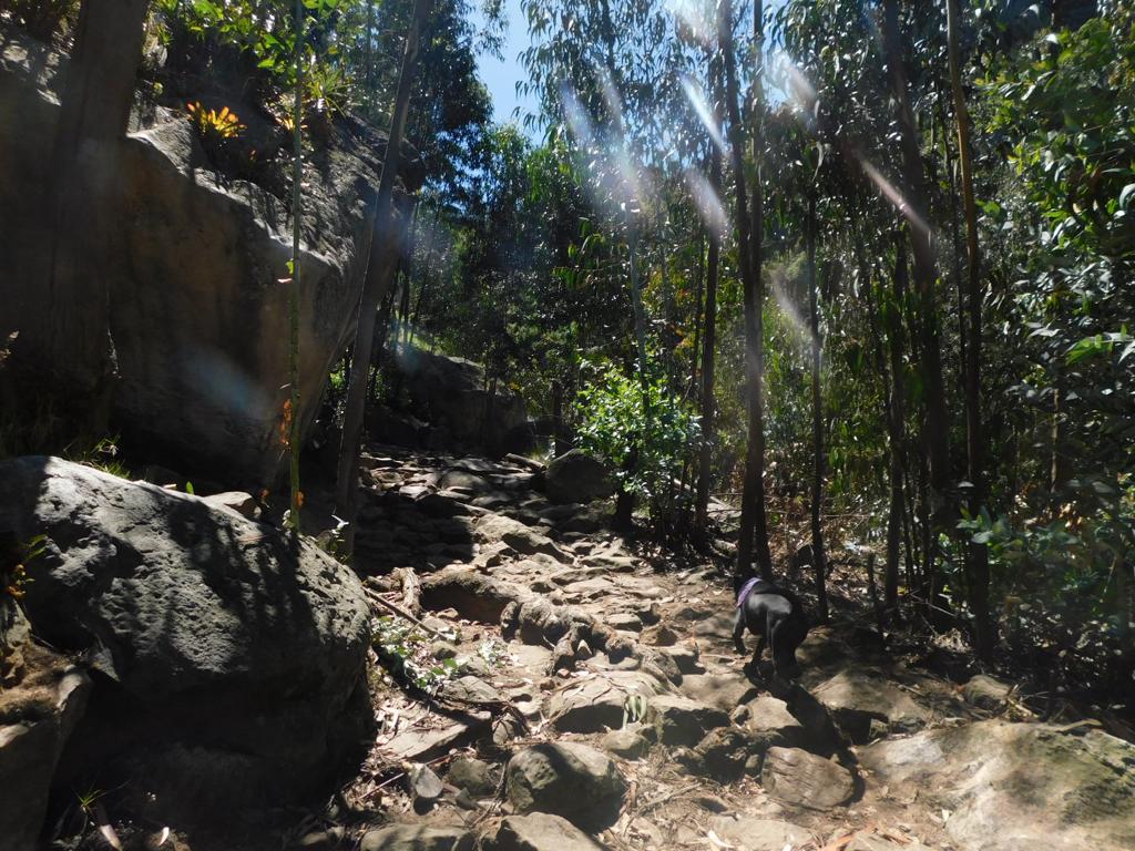 Farallones